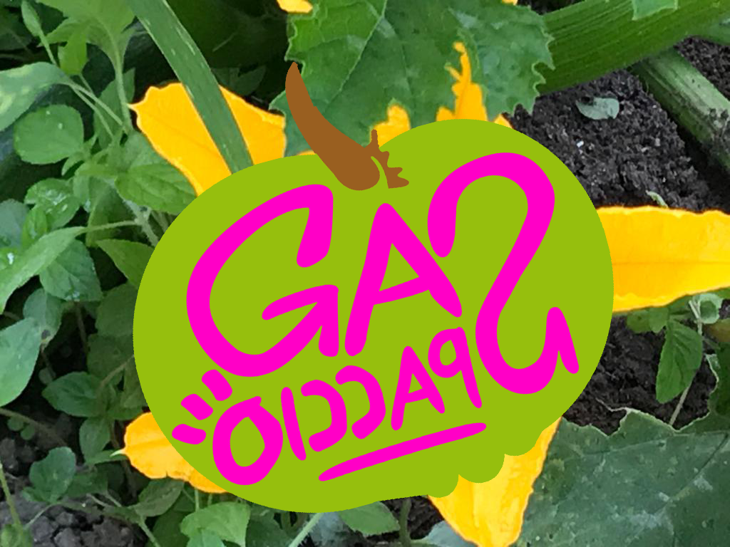 Gaspaccio.it! 30/10-5/11!